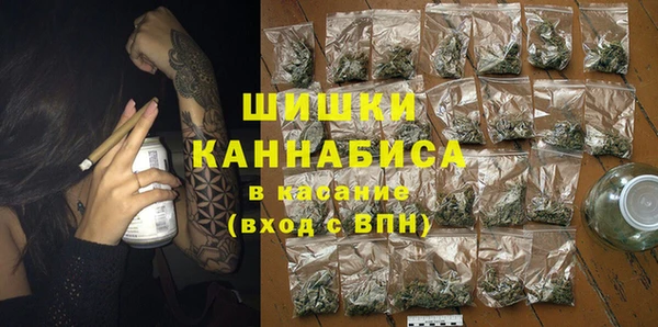 сатива Волосово