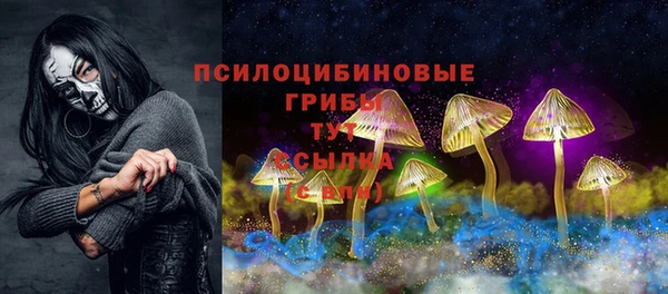сатива Волосово