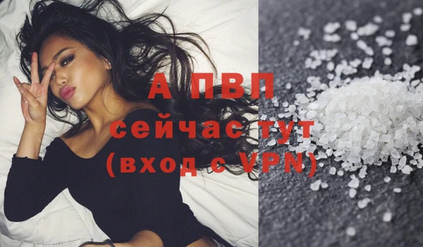 сатива Волосово